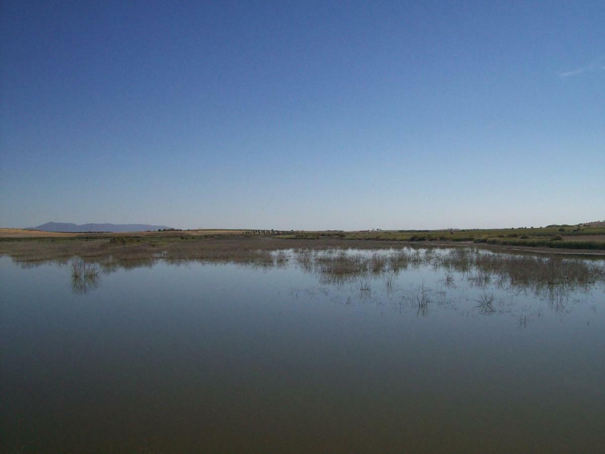 El Labriego, Casa Rural Fuente el Fresno Екстериор снимка